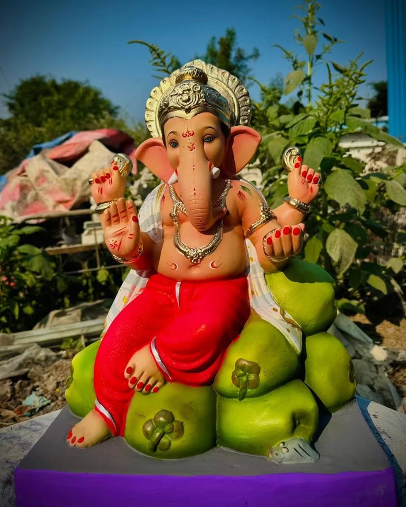 Eco Ganesha 3
