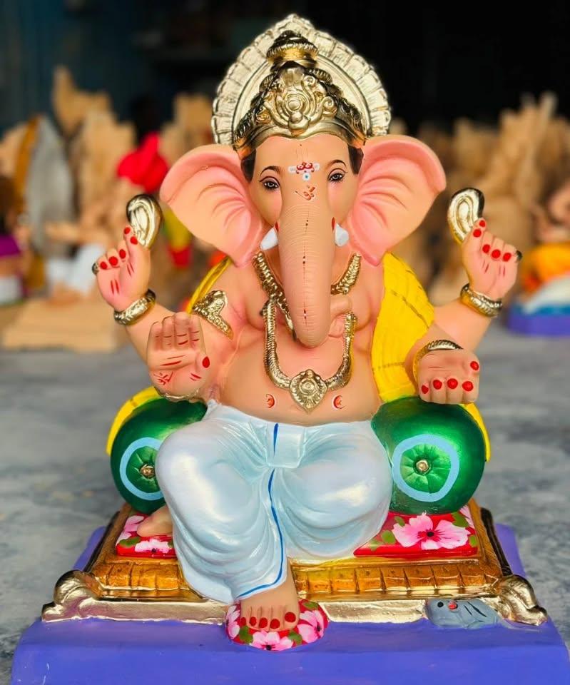 Eco Ganesha